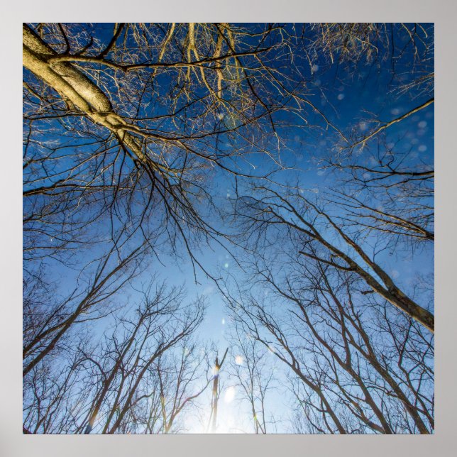 Scioto Grove Metro Park, Grove City, Ohio Poster (Framsidan)