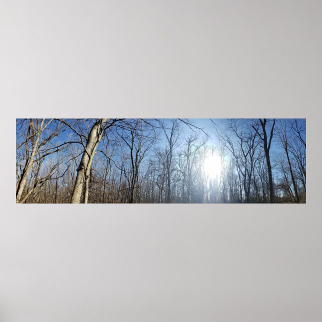 Scioto Grove Metro Park, Grove City, Ohio Poster (Framsidan)