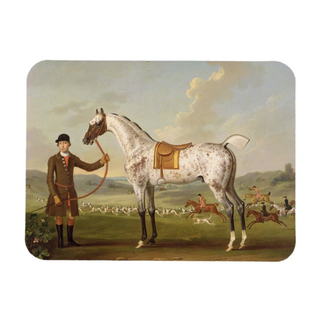 Scipio, överste Roches Spoted Hunter, c.1750 (oi) Magnet (Horisontell)