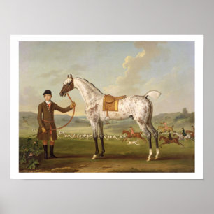 Scipio, överste Roches Spoted Hunter, c.1750 (oi) Poster