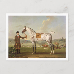 Scipio, överste Roches Spoted Hunter, c.1750 (oi) Vykort
