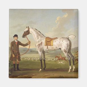 Scipio översteRoches prickiga jägare, c.1750 (oi Magnet