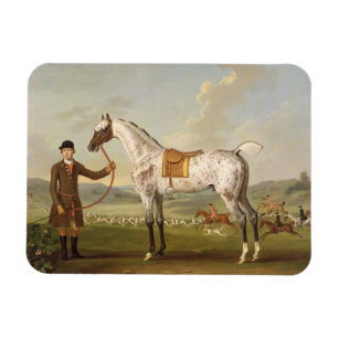 Scipio översteRoches prickiga jägare, c.1750 (oi Magnet