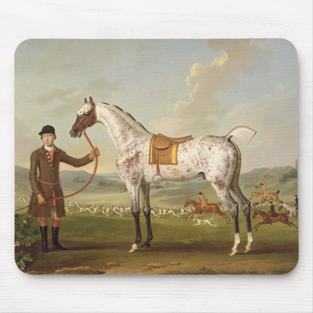 Scipio översteRoches prickiga jägare, c.1750 (oi Musmatta (Framsidan)