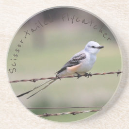 Scissor-tailed Flycatcherkustfartyg Underlägg Sandsten