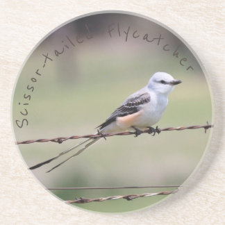 Scissor-tailed Flycatcherkustfartyg Underlägg Sandsten