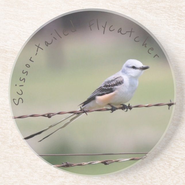 Scissor-tailed Flycatcherkustfartyg Underlägg Sandsten (Framsidan)