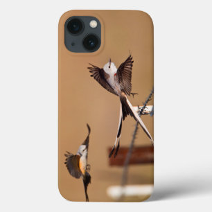 Scissor-Tailed Flycatchers (tyrannusen Forficatus)