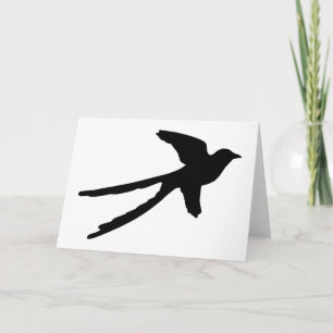 Scissortail Flycatcher Kort