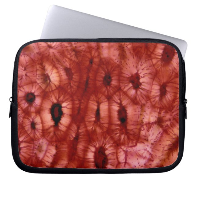 Sclerenchyma celler från en körsbärsröd grop laptop sleeve (Framsidan)