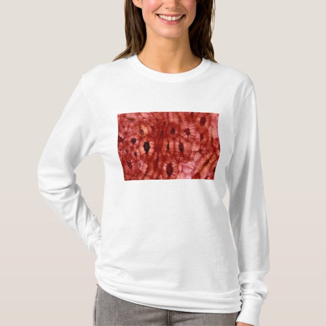 Sclerenchyma celler från en körsbärsröd grop t shirt (Framsida)
