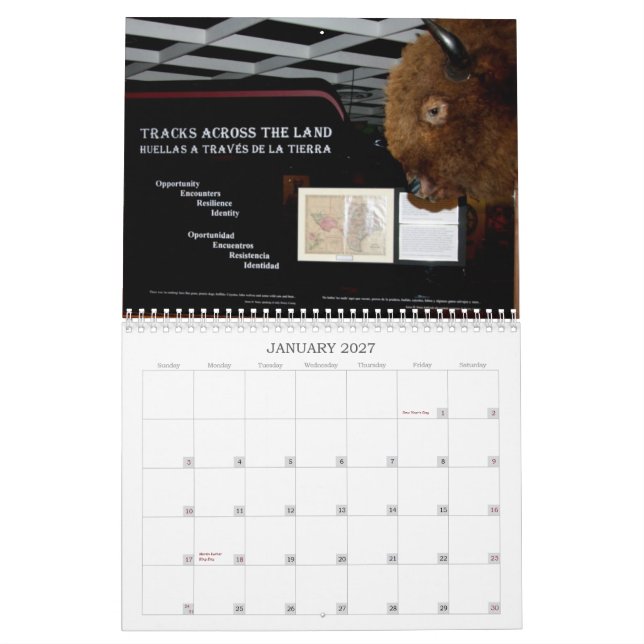 SCM - BUFFELN TÄCKER - KALENDERN KALENDER (Jan 2027)