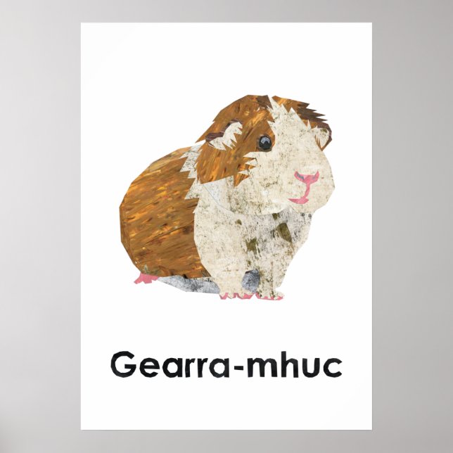 Sco-Gearra-mhuc-Poster Poster (Framsidan)