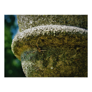 ’SCOFIELD’ FOTOTRYCK