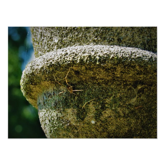’SCOFIELD’ FOTOTRYCK (Framsidan)