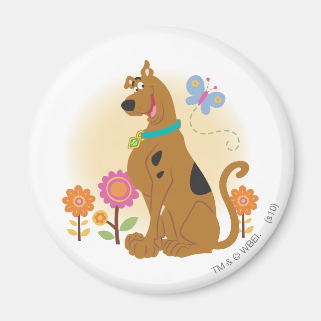 Scooby-Doo After Butterfly Magnet (Framsidan)