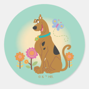 Scooby-Doo After Butterfly Runt Klistermärke