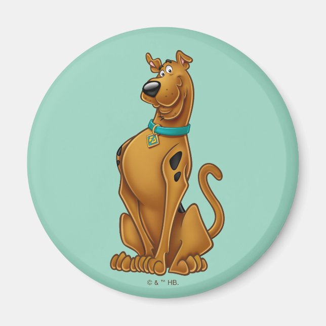 Scooby-Doo Airbrush Pose Magnet (Framsidan)