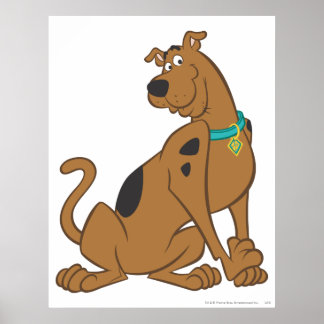 Scooby-Doo Bashful Pose Poster