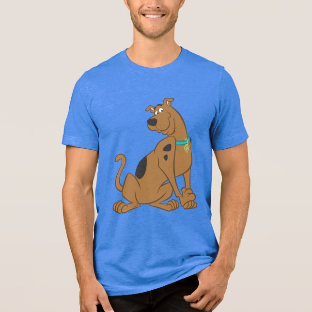 Scooby-Doo Bashful Pose Tee Shirt (Framsida)