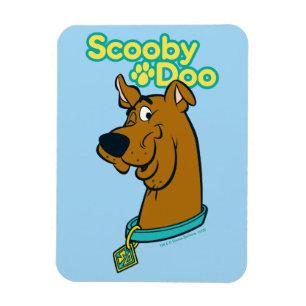 Scooby-Doo blinka Magnet
