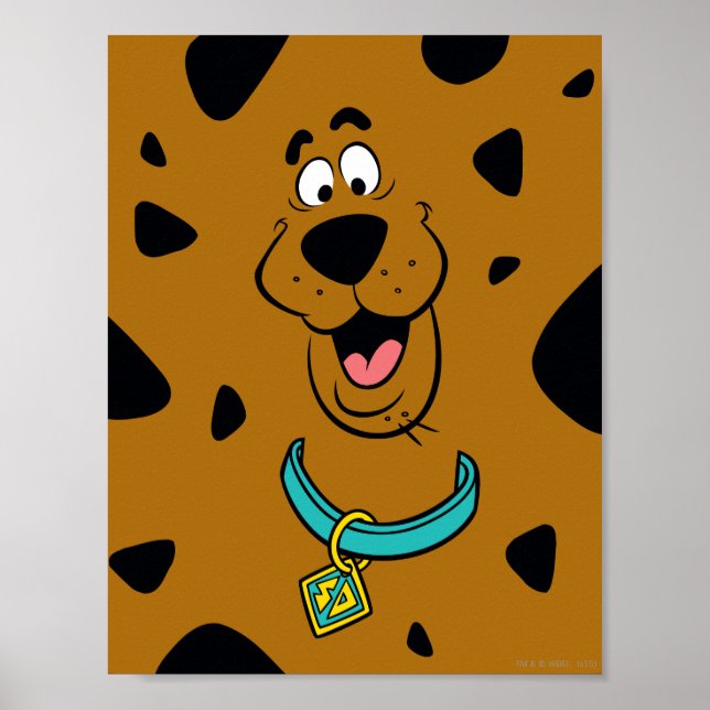 Scooby-Doo Camouflage Poster (Framsidan)