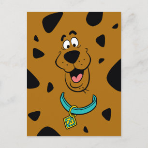 Scooby-Doo Camouflage Vykort