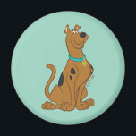 Scooby-Doo Cuter Than Cute Magnet<br><div class="desc">Scooby Doo Character Art</div>