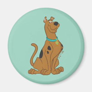 Scooby-Doo Cuter Than Cute Magnet