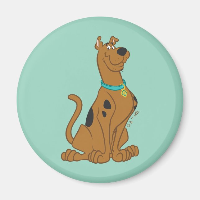 Scooby-Doo Cuter Than Cute Magnet (Framsidan)