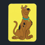 Scooby-Doo Cuter Than Cute Magnet<br><div class="desc">Scooby Doo Character Art</div>