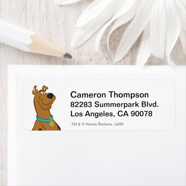 Scooby-Doo Cuter Than Cute Returadress Etikett (Insitu)
