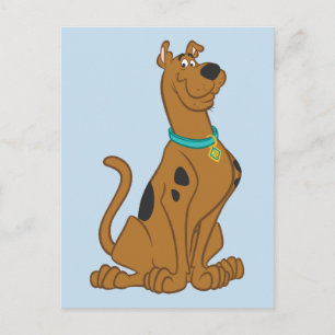 Scooby-Doo Cuter Than Cute Vykort
