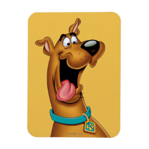 Scooby-Doo Excited Ansikte Magnet