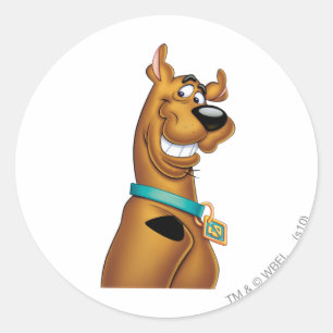 Scooby-Doo Flin Runt Klistermärke