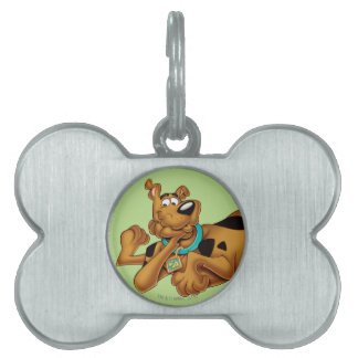 Scooby-Doo Ljuger ner Namnbricka Husdjur