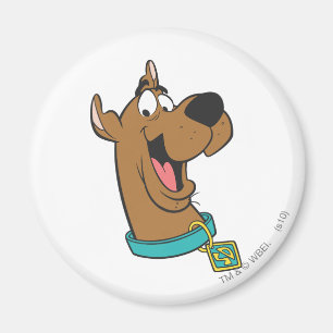 Scooby-Doo Lycklig Ansikte Magnet