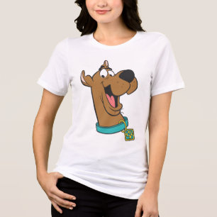Scooby-Doo Lycklig Ansikte T-shirt I Triblend-tyg