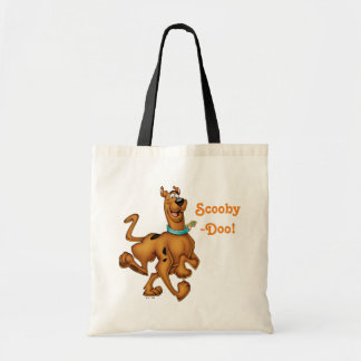 Scooby-Doo Lycklig Walk Tygkasse