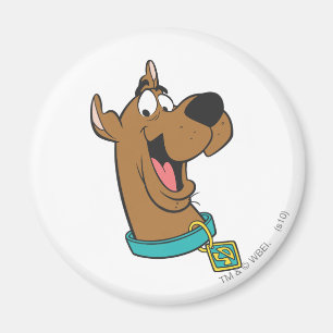 Scooby-Doo lyckligt ansikte Magnet