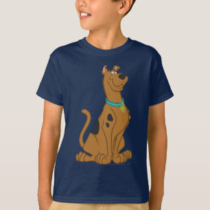 Scooby-Doo mer gullig än gulligt Tröja