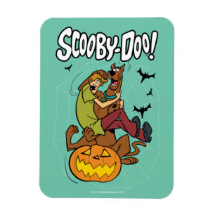 Scooby-Doo och Shaggy Halloween Fright Magnet