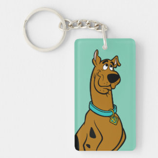 Scooby-Doo Puppy Öga