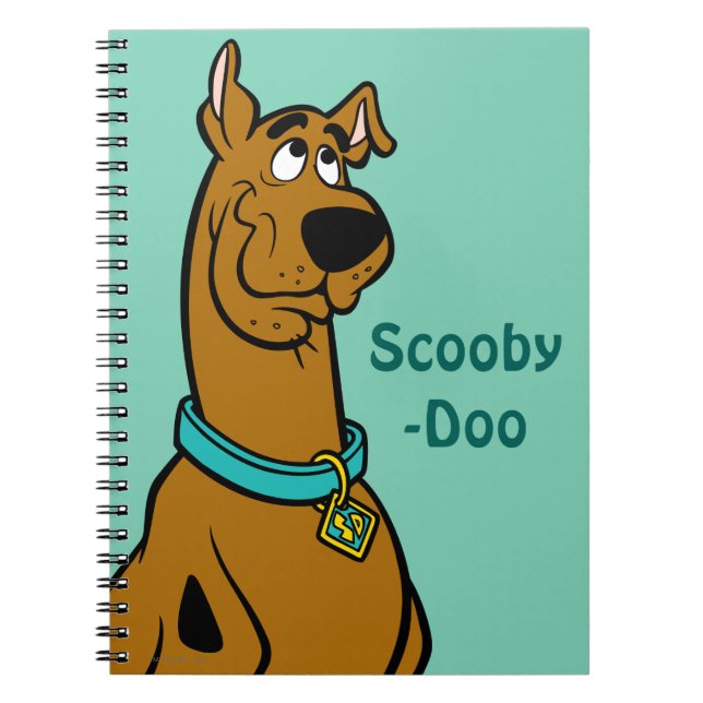 Scooby-Doo Puppy Öga Anteckningsbok (Framsidan)