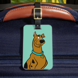 Scooby-Doo Puppy Öga Bagagebricka