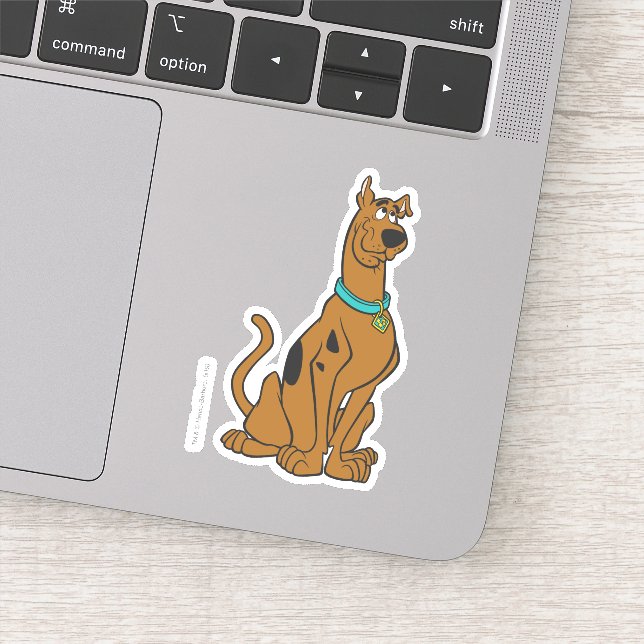 Scooby-Doo Puppy Öga Klistermärken (Detalj)