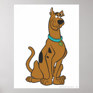Scooby-Doo Puppy Öga Poster