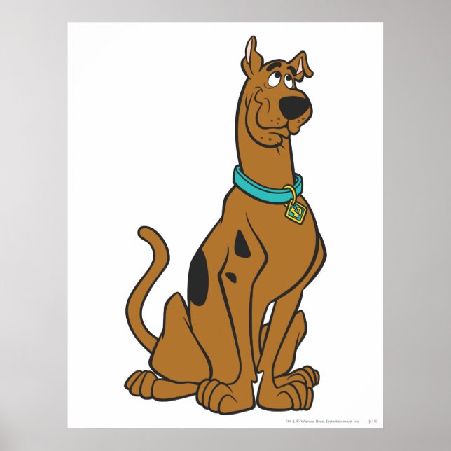 Scooby-Doo Puppy Öga Poster (Framsidan)