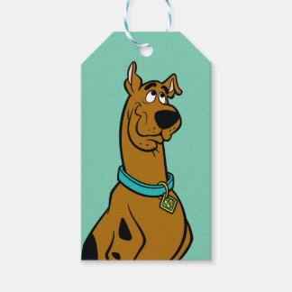 Scooby-Doo Puppy Öga Presentetikett