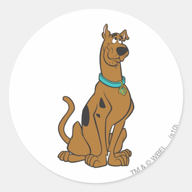 Scooby-Doo Puppy Öga Runt Klistermärke (Framsida)